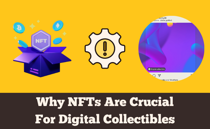NFT vs Digital Collectibles